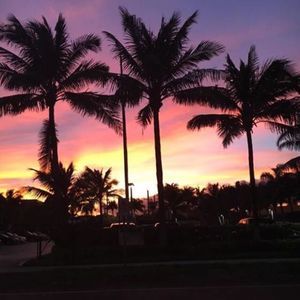 Meet your Posher, Janelle